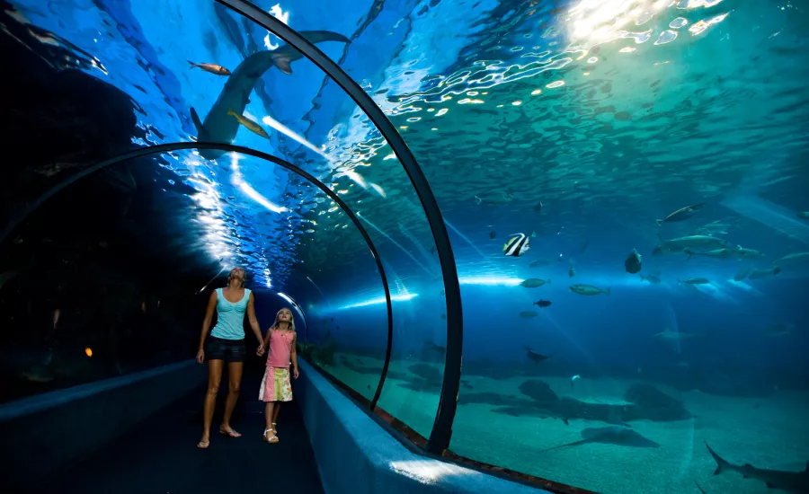 Maui Ocean Center