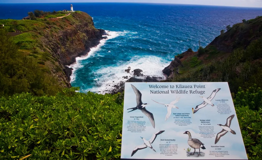 Kauai