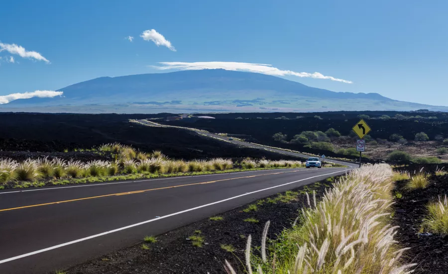 Roadside lava fields with Maunakea in the background