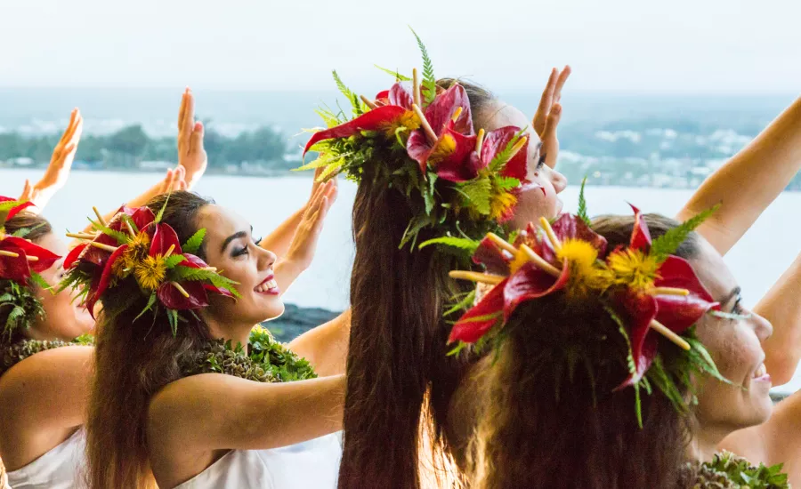 Luau dreaming