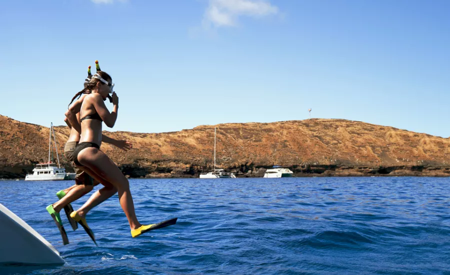 Diving on Maui