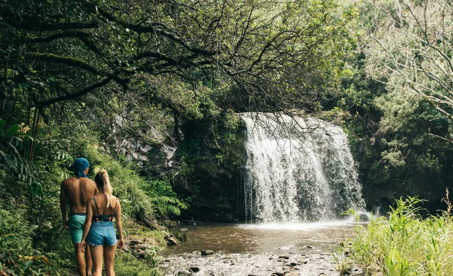 HAWAII FOREST & TRAIL, ISLAND OF HAWAII/OAHU