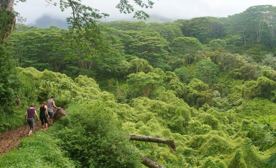 Hiking on Kauai