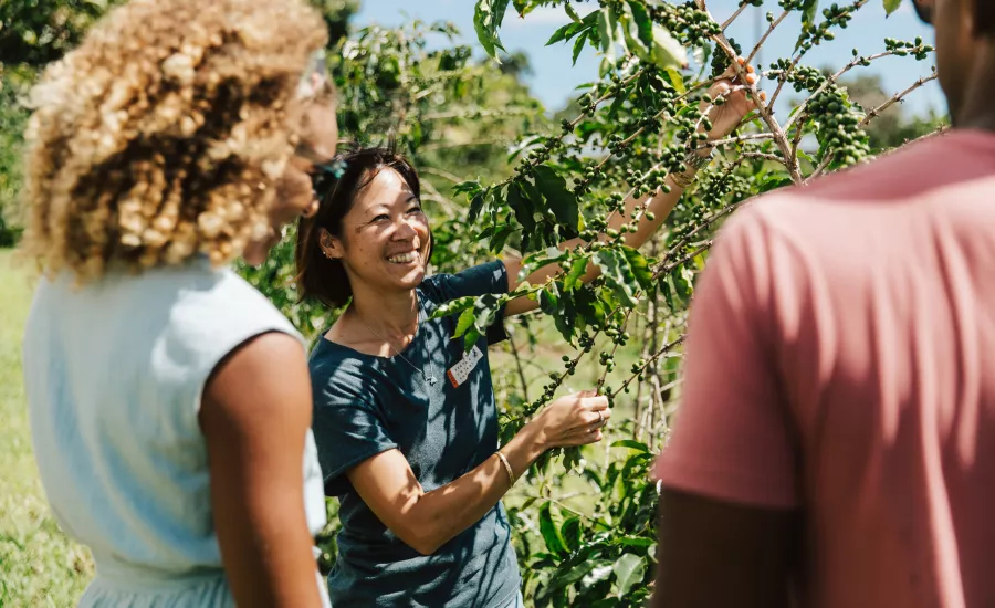 Host explains coffee growing to visitors