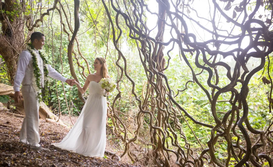 Tie the knot