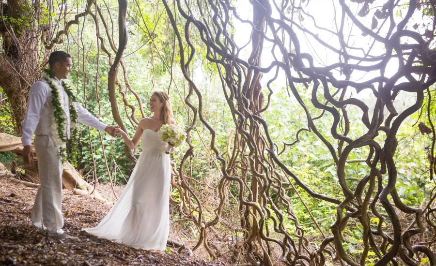Tie the knot
