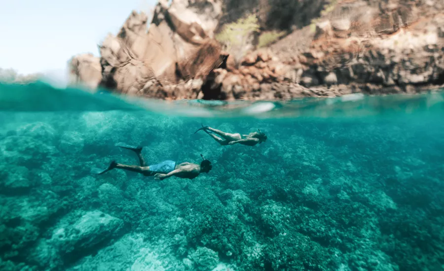 Snorkellers exploring the coast of Hawaii
