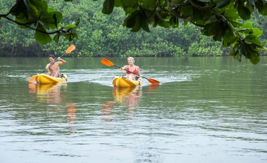 Peaceful River Kayaking Excursion