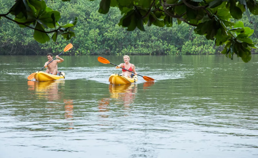Peaceful River Kayaking Excursion