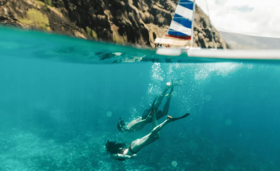 Snorkellers exploring Hawaii