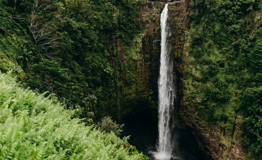 Akaka Falls State Park