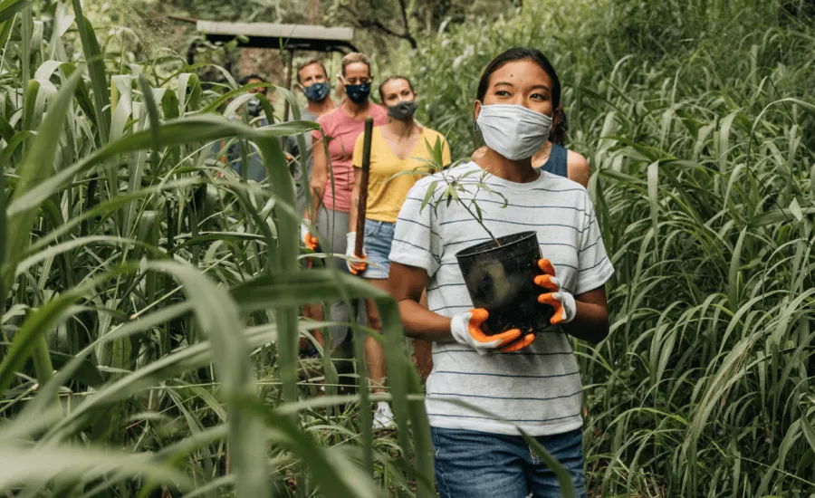 Volunteers with face masks walk to reforestation site