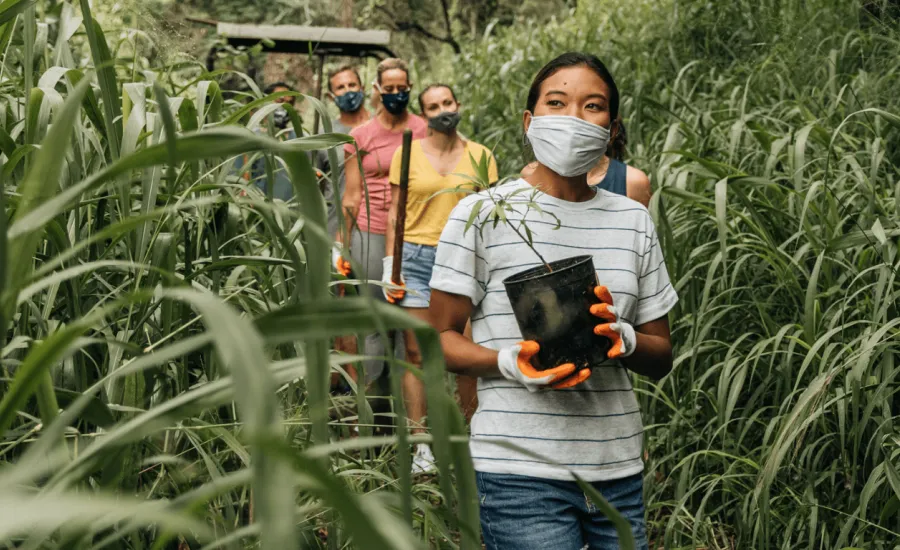 Volunteers with face masks walk to reforestation site
