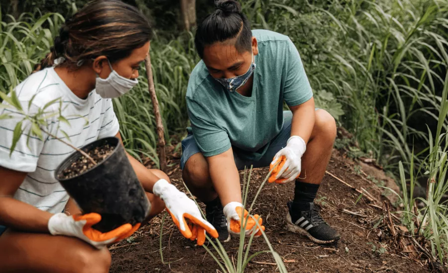 Hawaii Land Trust staff guiding a reforestation volunteer with a face mask