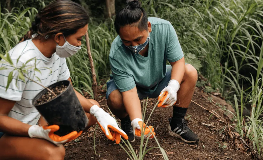 Hawaii Land Trust staff guiding a reforestation volunteer with a face mask