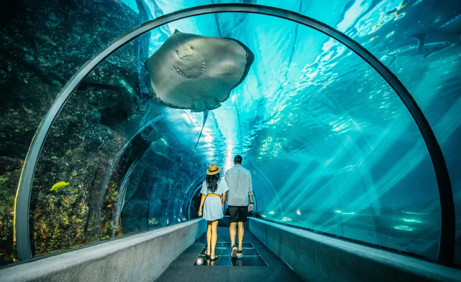 Maui Ocean Centre