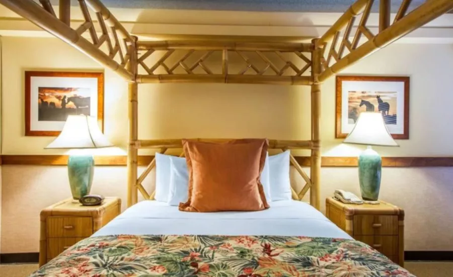 The Equus Waikiki