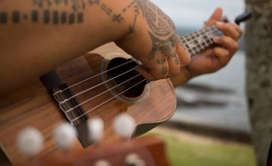 Local musician performs