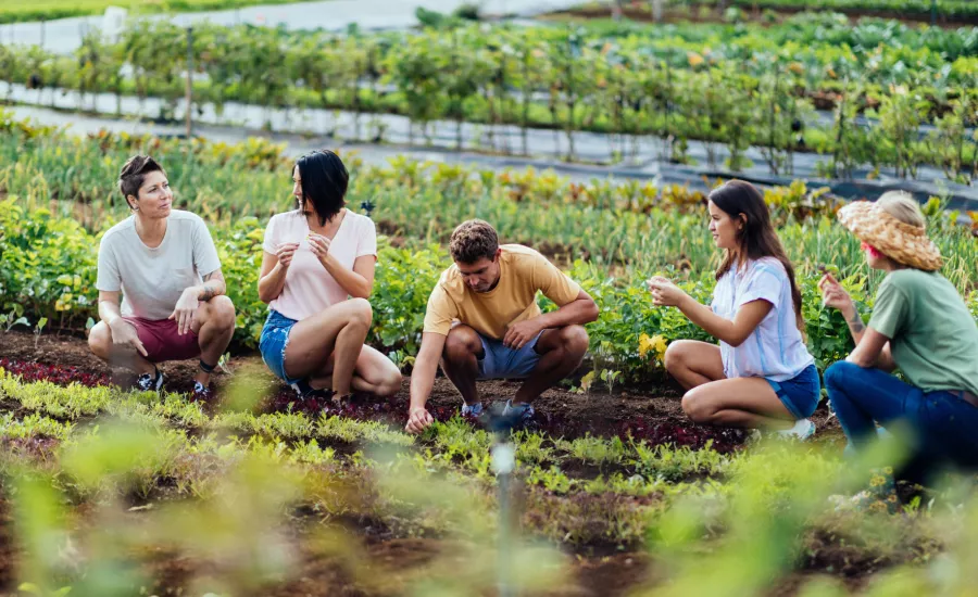 Farm to Table Oahu
