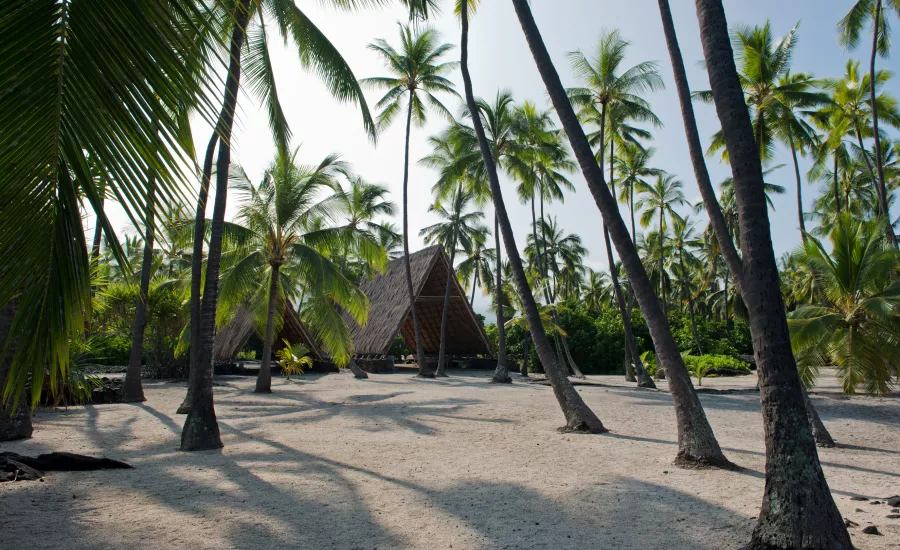 Puuhonua o Honaunau National Historical Park