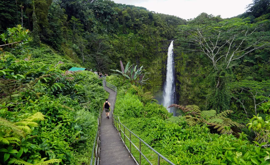 Walkway to Akaka Falls