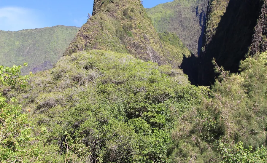 Iao Valley Wailuku Maui