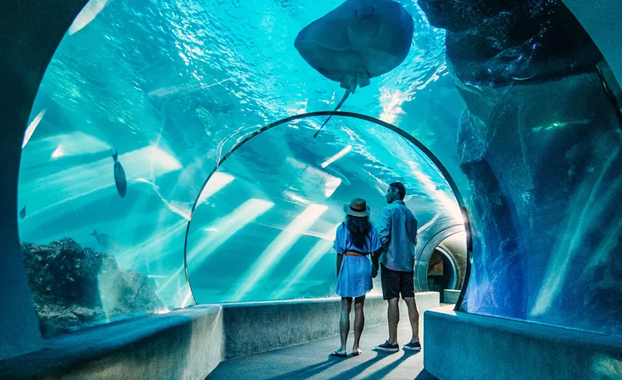Maui Ocean Center tank view 