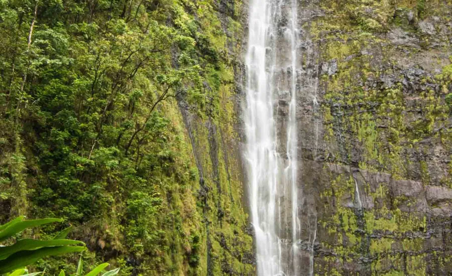 Waimoku Falls Pipiwai Trail