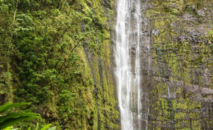 Waimoku Falls Pipiwai Trail