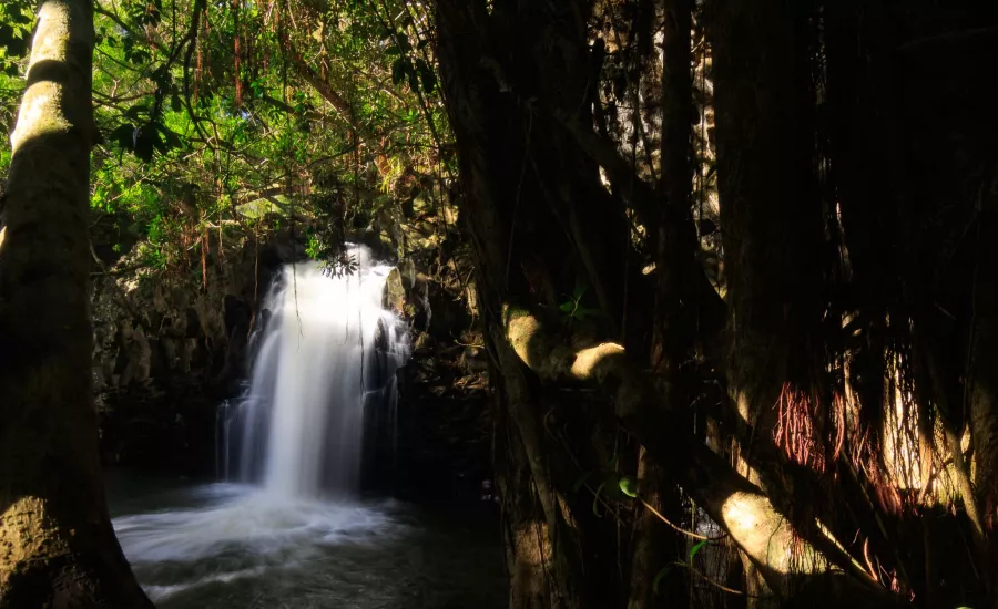 Twin Falls