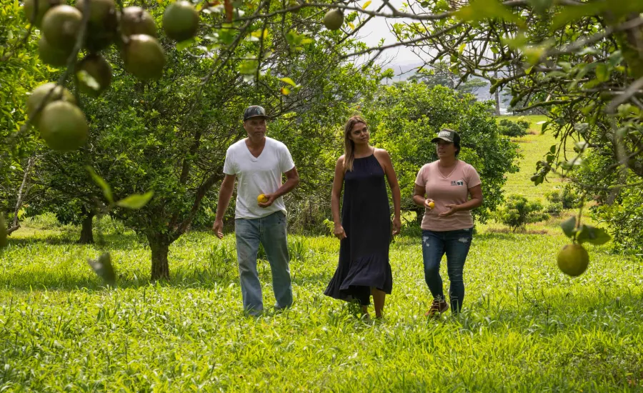 Sam Harris Hawaii Farm Work