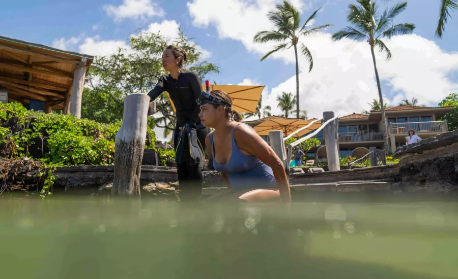Sam Harris Island of Hawaii Kings Pond