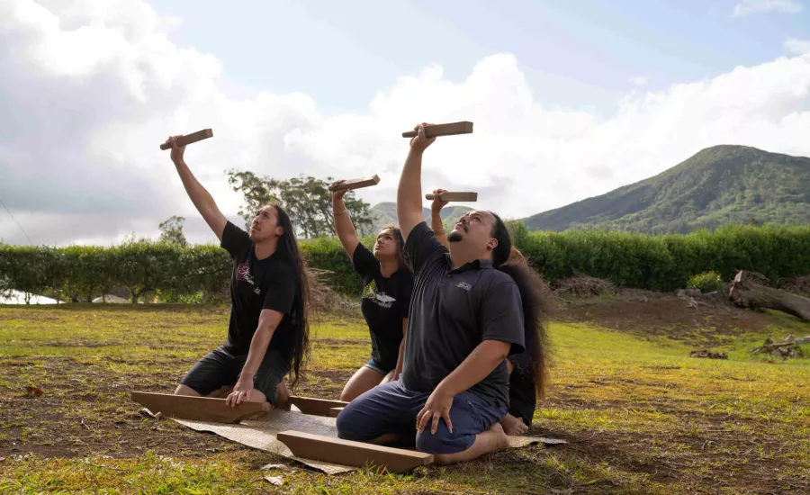 Sam Harris Hawaii Kamohoalii