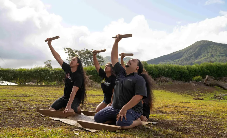 Sam Harris Hawaii Kamohoalii