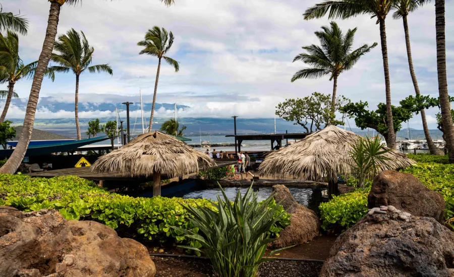 Maui Aquarium