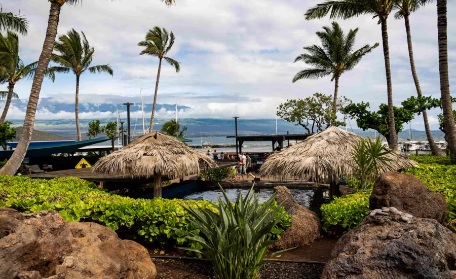 Maui Aquarium