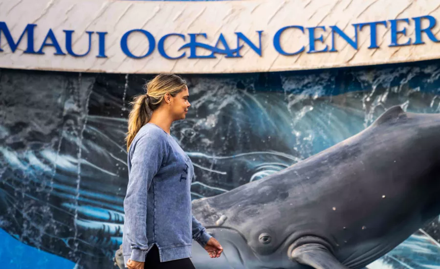 Sam Harris Maui Aquarium
