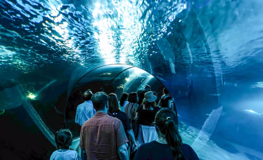 Maui Aquarium
