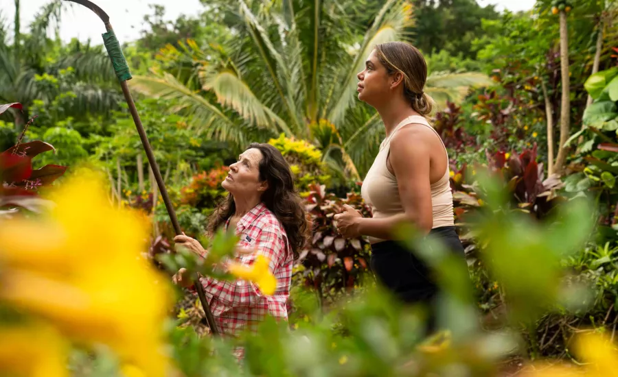 Sam Harris Maui Leilani Farm