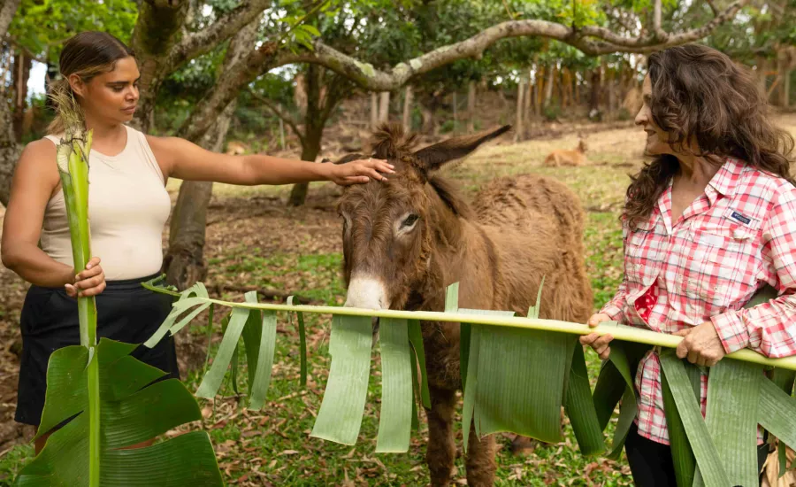 Sam Harris Maui Leilani Farm