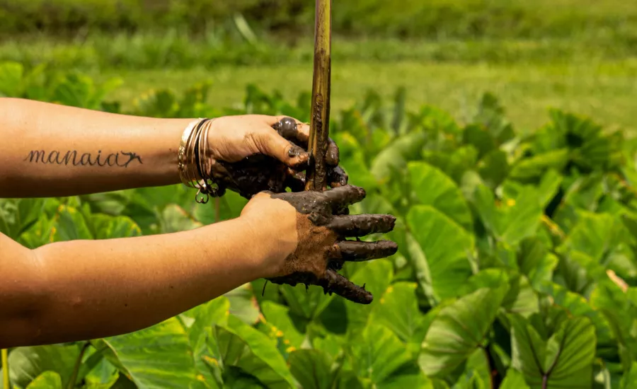Kualoa Ranch Work Oahu Hawaii