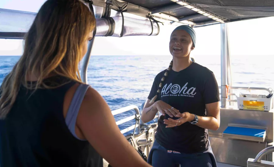 Sam Harris Oahu Shark