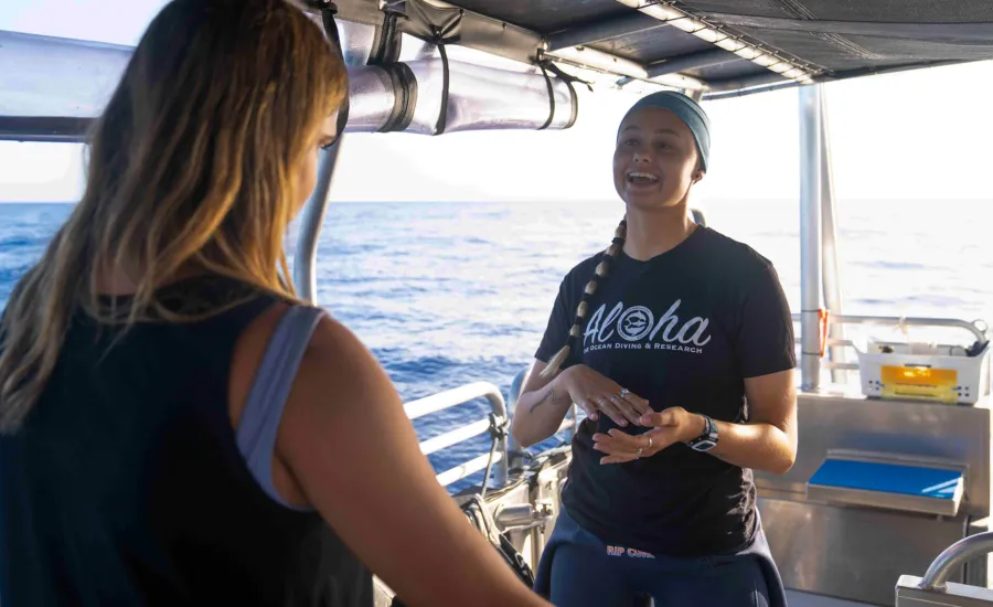 Sam Harris Oahu Shark