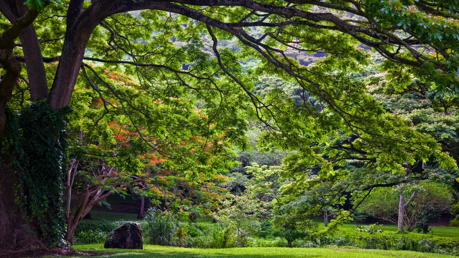 McBryde Garden landscape