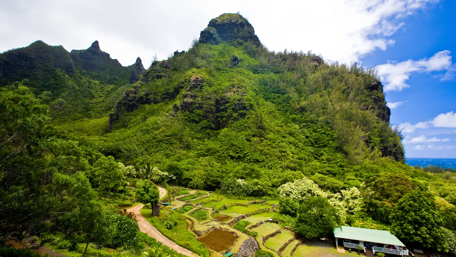 Limahuli garden landscape.