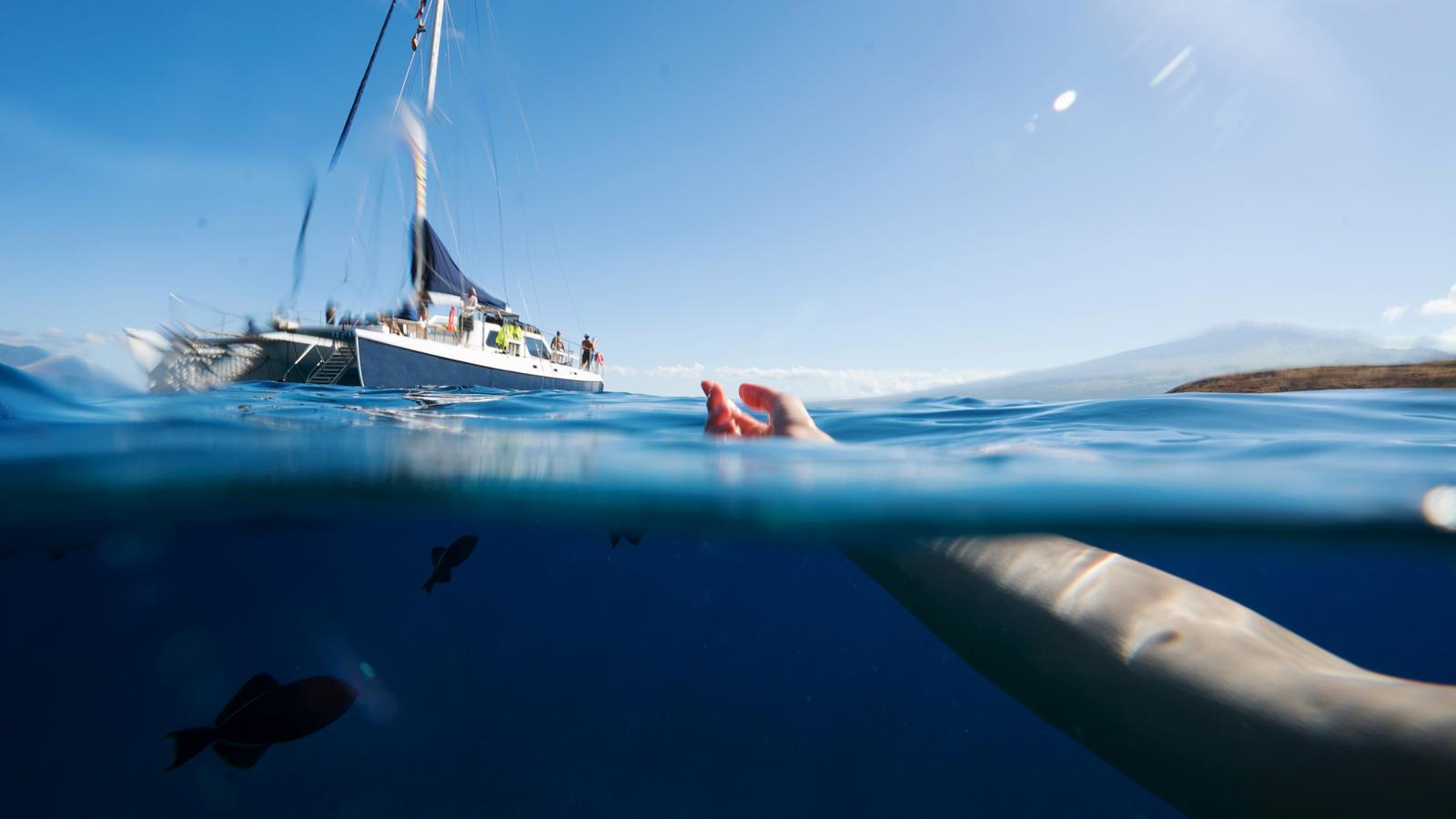 Marine Life of Hawaii | Go Hawaii