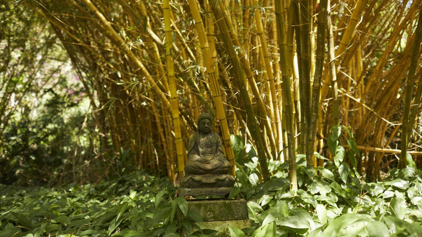 allerton garden kauai go hawaii