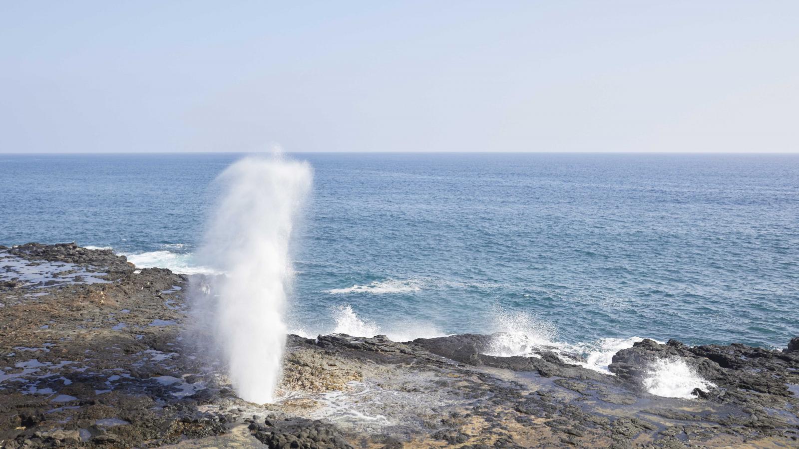 ハワイのアドベンチャー ハワイ州観光局 Go Hawaii ハワイのアドベンチャー ハワイ州観光局 Go Hawaii