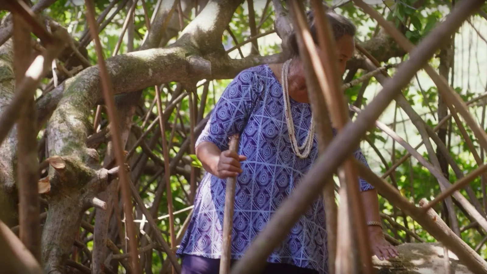Kauai Travel Tips: Travel Pono video
