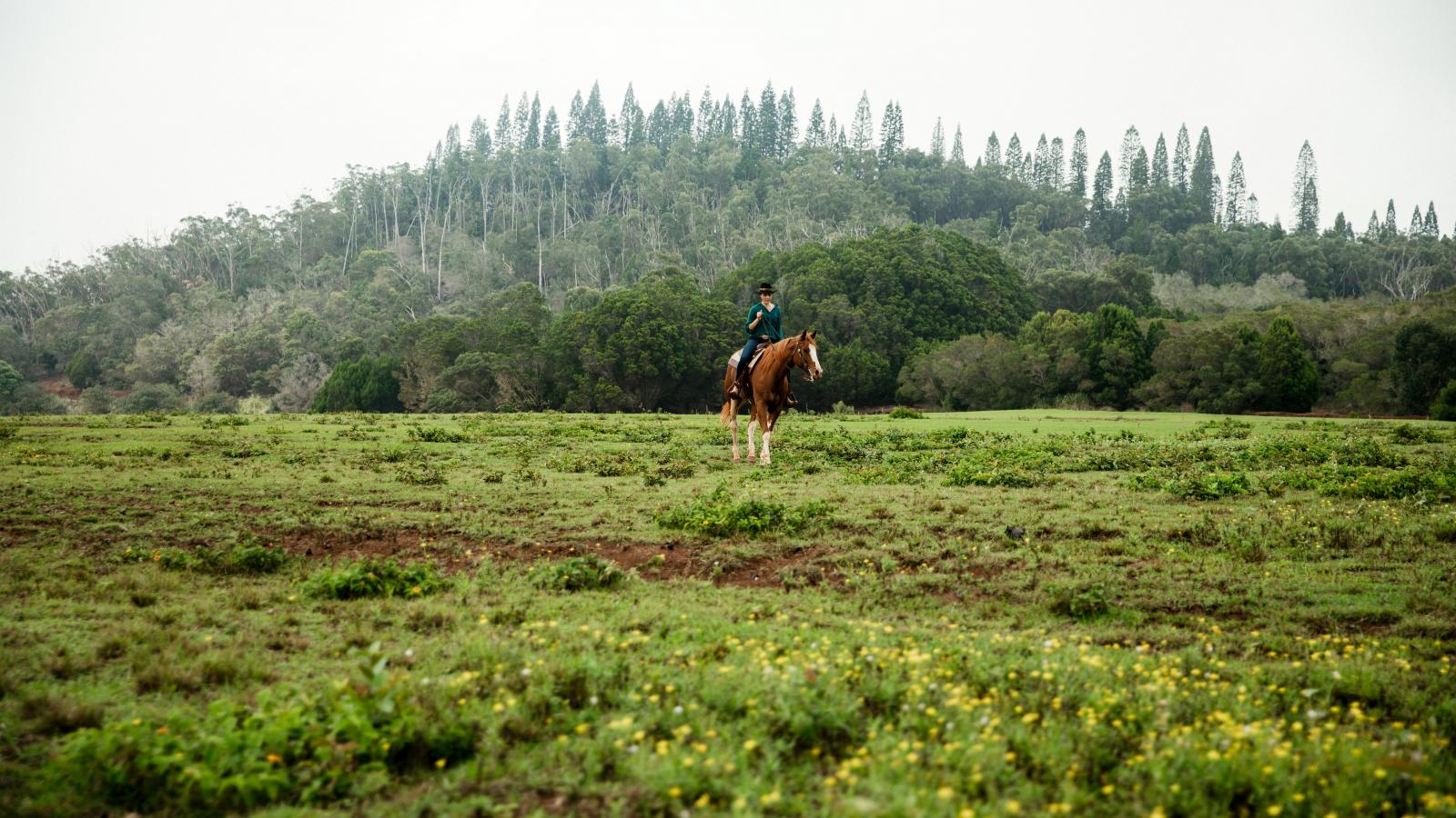Lanai Visitor Information Go Hawaii